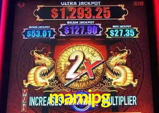 mamipg Rio de Janeiro - Professional Dealers